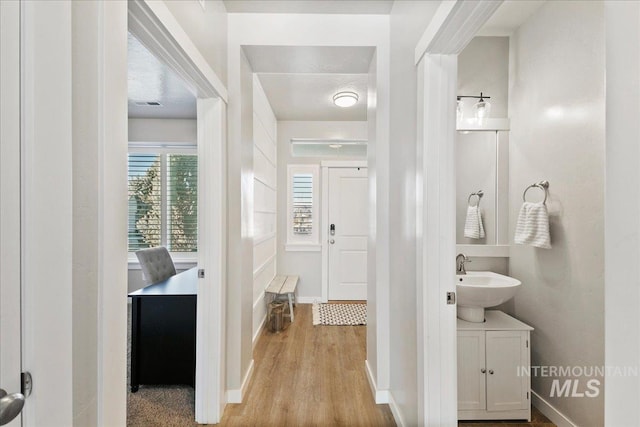 bathroom featuring hardwood / wood-style flooring and vanity