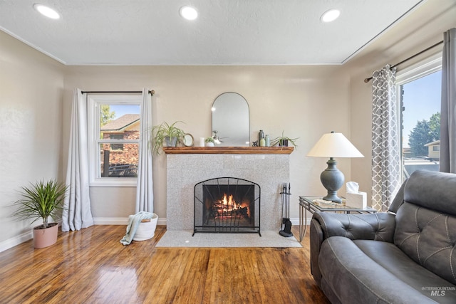 209 N Canyon St, Nampa, ID 83651 - living area with wood finished floors, a fireplace with flush hearth, baseboards, and recessed lighting