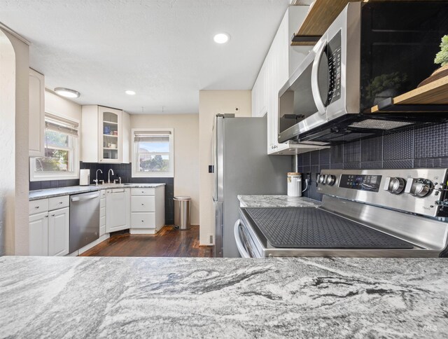 209 N Canyon St, Nampa, ID 83651 - kitchen with stainless steel appliances, dark wood finished floors, glass insert cabinets, tasteful backsplash, and a sink