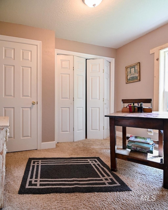 221 N Union St, Star, ID 83669 - view of carpeted foyer entrance
