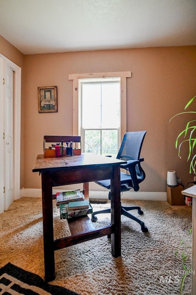 221 N Union St, Star, ID 83669 - carpeted office space featuring baseboards