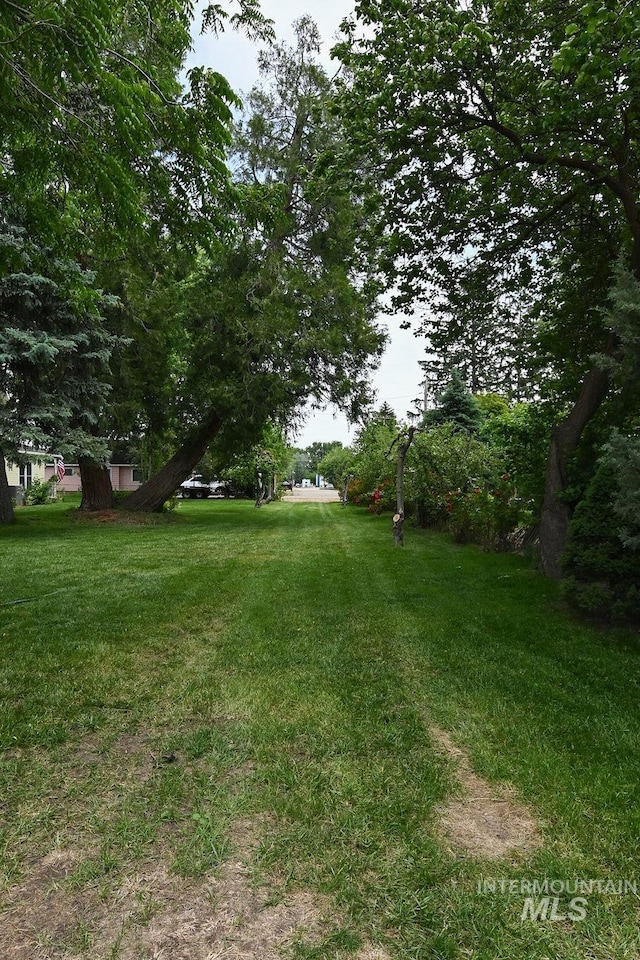221 N Union St, Star, ID 83669 - view of grassy yard