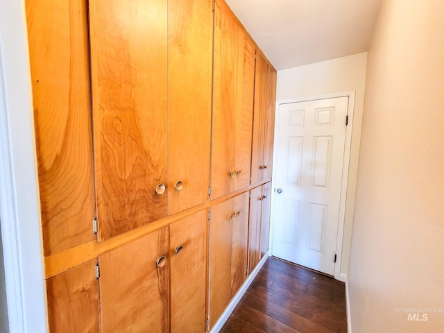 interior space featuring dark hardwood / wood-style floors