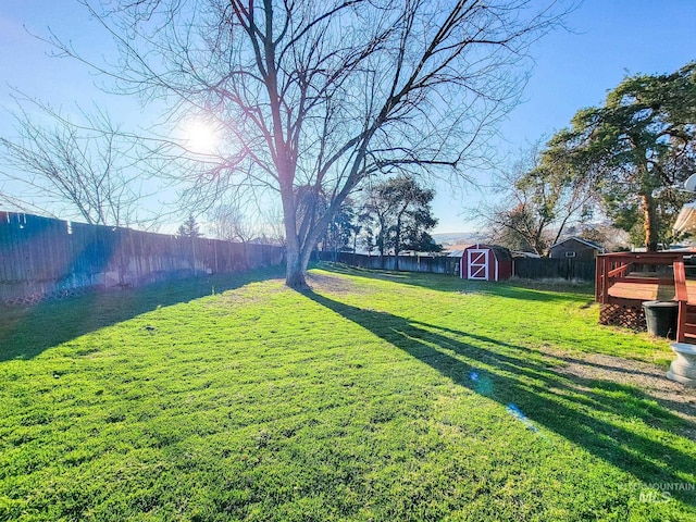 view of yard featuring a storage unit