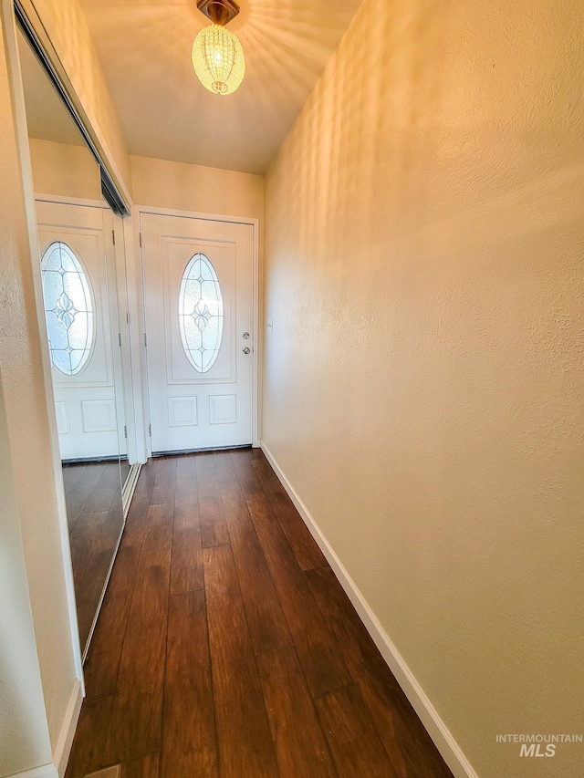 doorway to outside featuring dark wood-type flooring