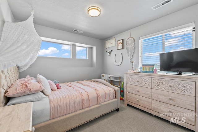 1499 W Blue Downs St, Meridian, ID 83642 - view of carpeted bedroom