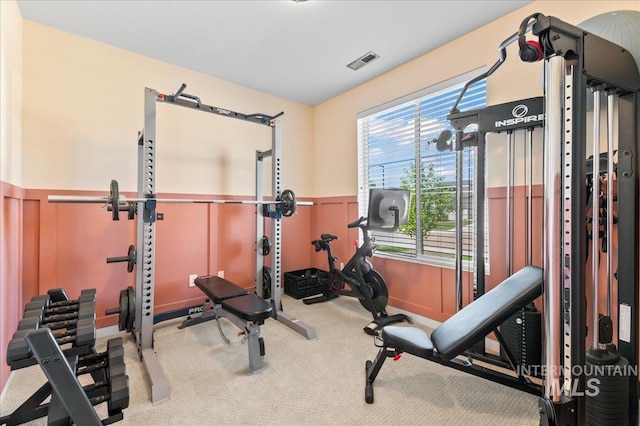 1499 W Blue Downs St, Meridian, ID 83642 - workout area with wainscoting, carpet flooring, and a decorative wall