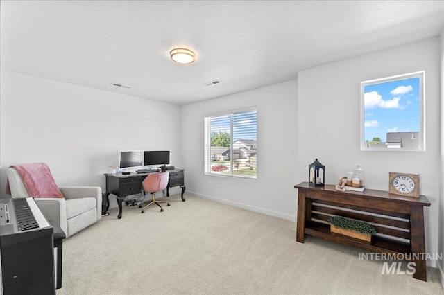 1499 W Blue Downs St, Meridian, ID 83642 - carpeted office space with baseboards