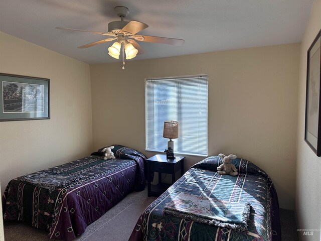17121 Basey St, Murphy, ID 83650 - bedroom featuring carpet and a ceiling fan