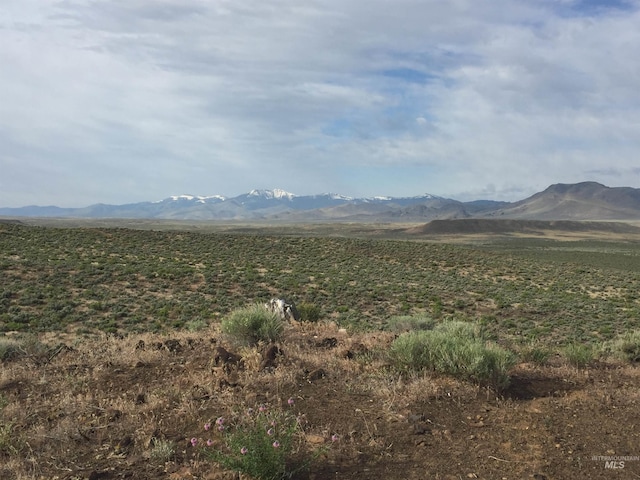 17121 Basey St, Murphy, ID 83650 - mountain view