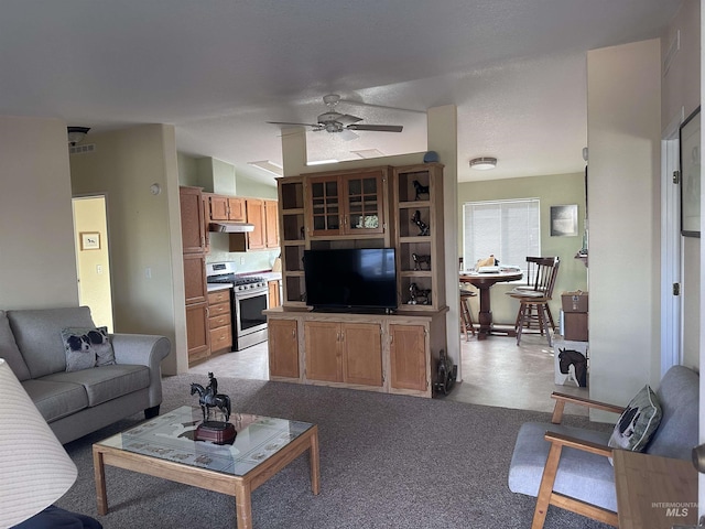 17121 Basey St, Murphy, ID 83650 - living room with a ceiling fan