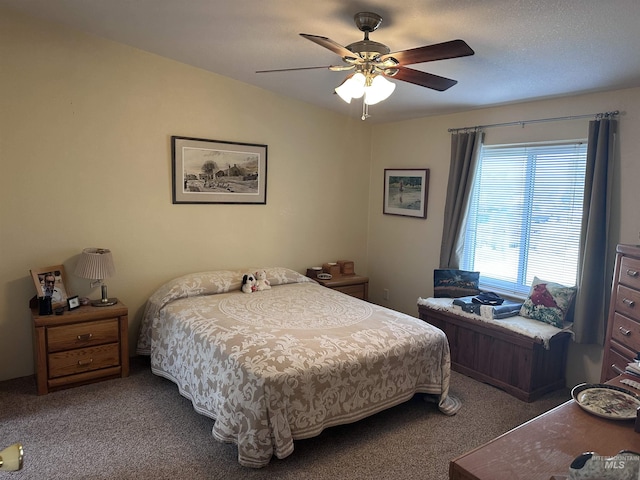 17121 Basey St, Murphy, ID 83650 - bedroom featuring carpet flooring and ceiling fan