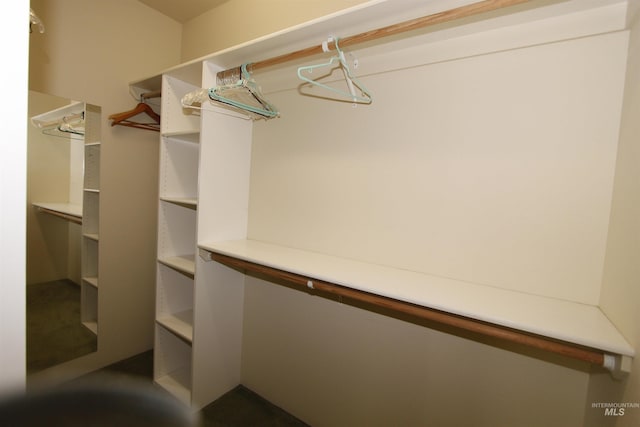 19801 Pinehaven Ln, Lenore, ID 83541 - view of spacious closet