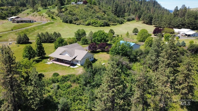 19801 Pinehaven Ln, Lenore, ID 83541 - view of subject property featuring a forest