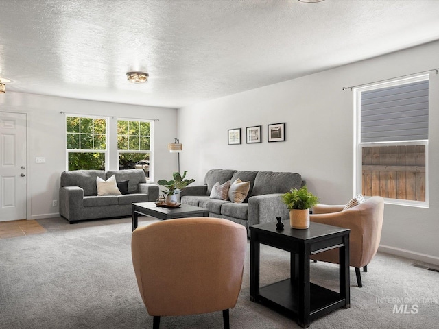 12800 W Fernleaf St, Boise, ID 83713 - living room with light carpet and a textured ceiling