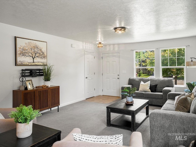 12800 W Fernleaf St, Boise, ID 83713 - carpeted living room with a textured ceiling and baseboards