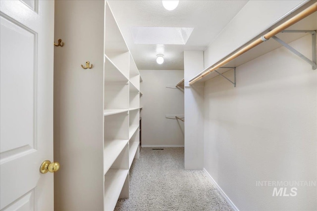 255 Los Lagos, Twin Falls, ID 83301 - walk in closet with a skylight