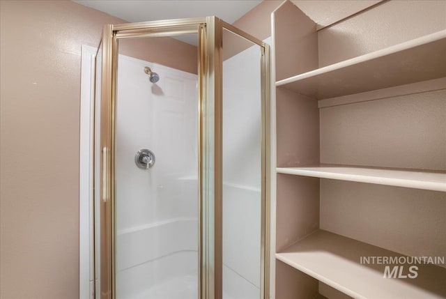 255 Los Lagos, Twin Falls, ID 83301 - bathroom with a stall shower and a textured wall
