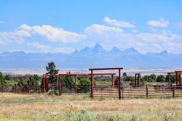 view of yard with a mountain view