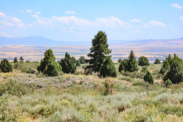 mountain view