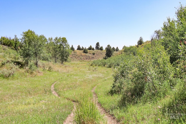 view of nature with a rural view