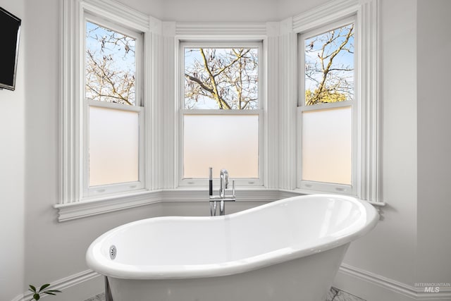 bathroom featuring a sink, baseboards, and a freestanding bath