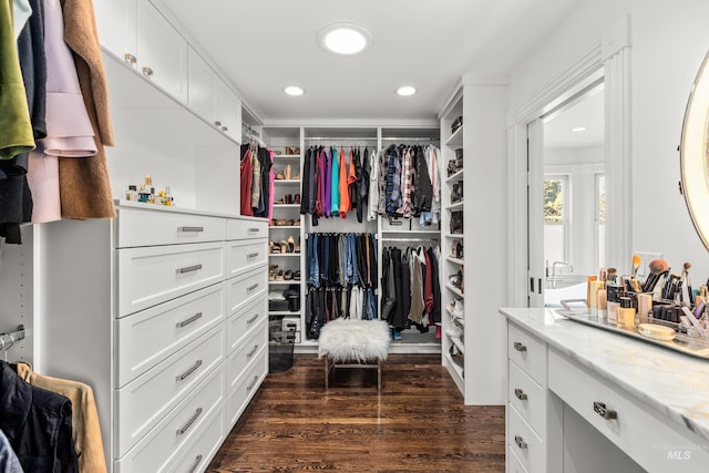 spacious closet featuring dark wood-type flooring