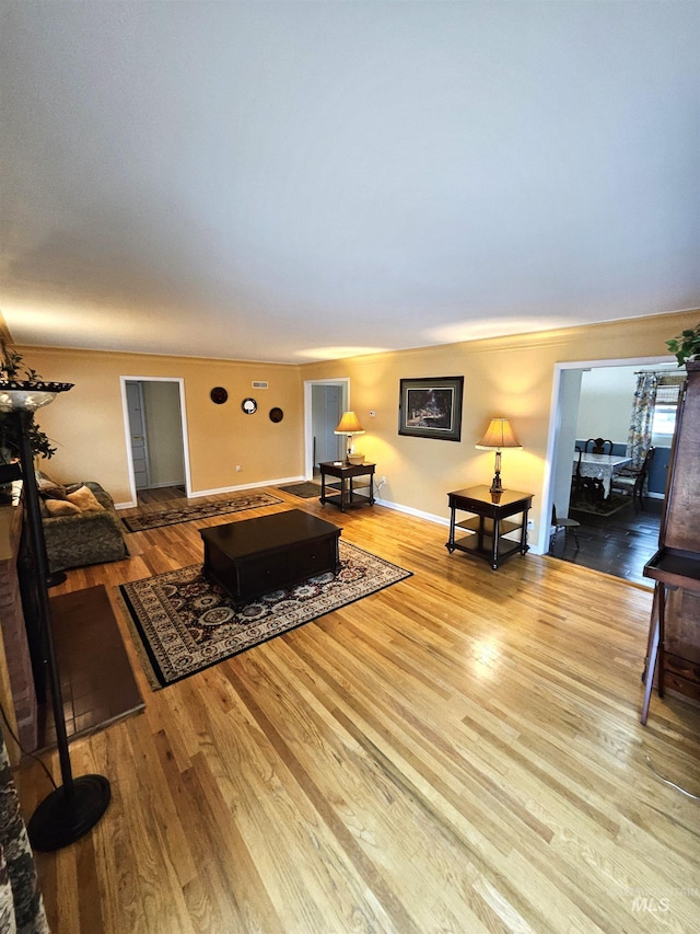 living room with hardwood / wood-style floors