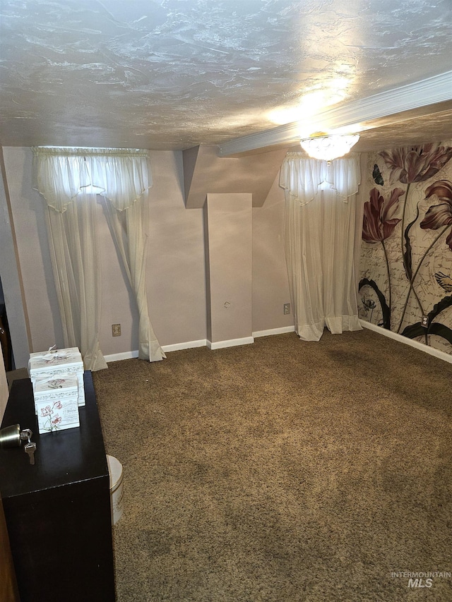 basement with carpet and a textured ceiling