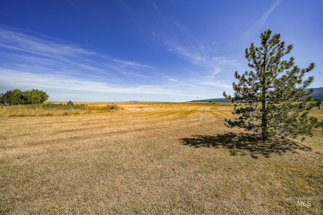 view of yard with a rural view