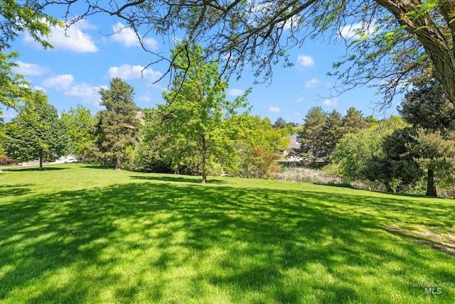 1664 E Sendero Ln, Boise, ID 83712 - view of grassy yard