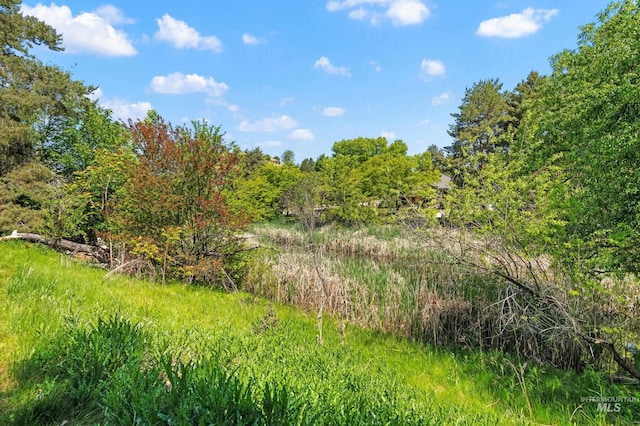 1664 E Sendero Ln, Boise, ID 83712 - view of tree filled area