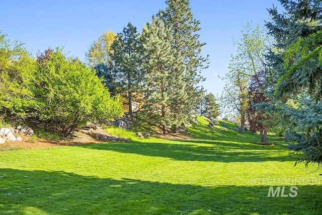 view of property's community with a yard