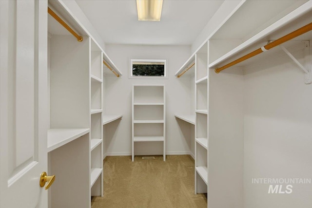 spacious closet with carpet