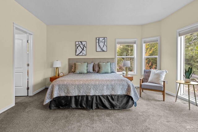 5873 N Collister Dr, Boise, ID 83703 - carpeted bedroom featuring baseboards