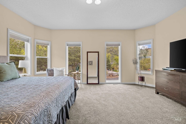 5873 N Collister Dr, Boise, ID 83703 - bedroom featuring light colored carpet, multiple windows, a textured ceiling, and baseboards