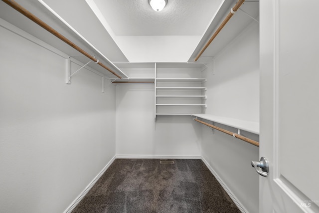 5873 N Collister Dr, Boise, ID 83703 - walk in closet with dark carpet