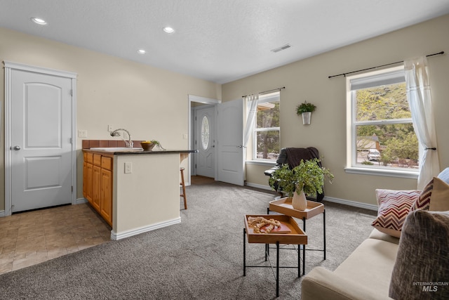 5873 N Collister Dr, Boise, ID 83703 - carpeted living room with a sink, baseboards, and recessed lighting