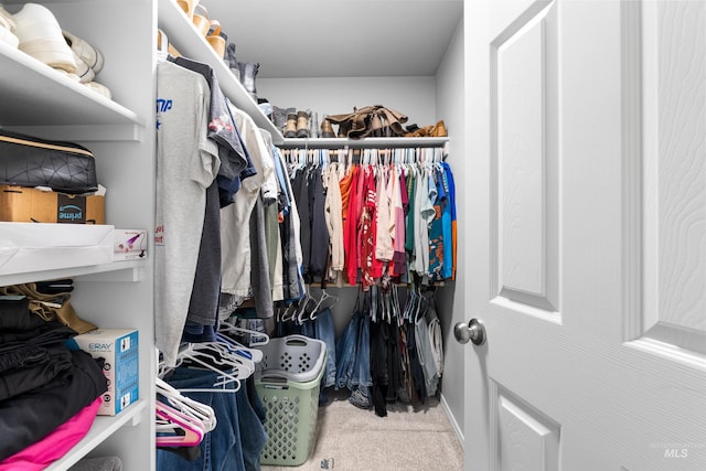 spacious closet with carpet floors