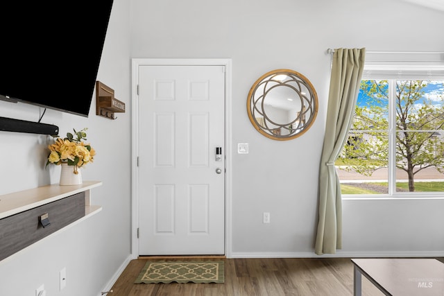 foyer featuring a healthy amount of sunlight, baseboards, and wood finished floors
