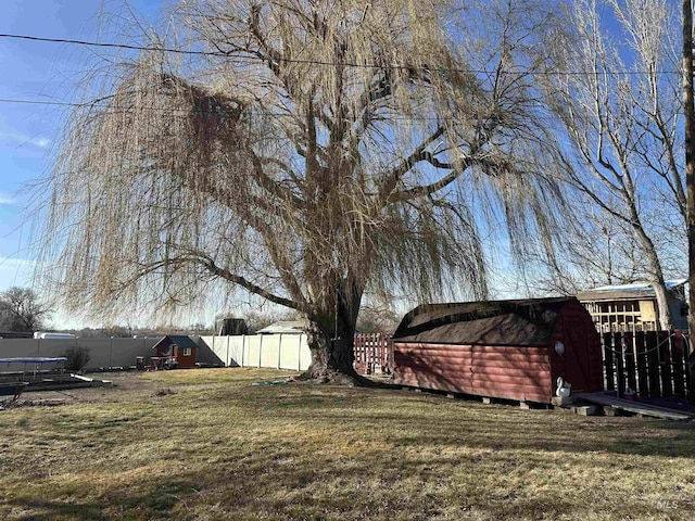 view of yard featuring a fenced backyard, an outdoor structure, and a shed