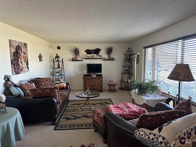 carpeted living room with a textured ceiling