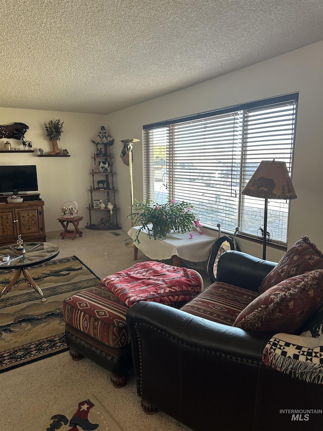 carpeted living room featuring a textured ceiling