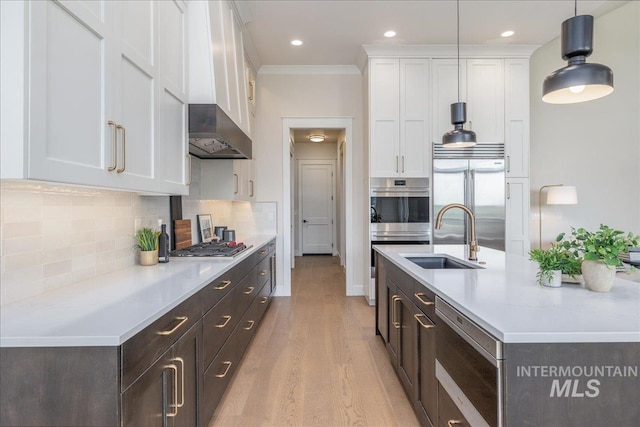 6201 W Redland Dr, Eagle, ID 83616 - kitchen with light wood-type flooring, a sink, ventilation hood, white cabinets, and built in appliances