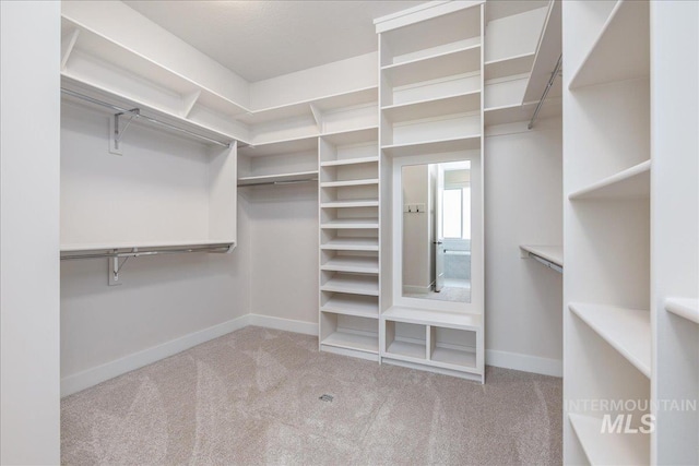 6201 W Redland Dr, Eagle, ID 83616 - spacious closet featuring carpet