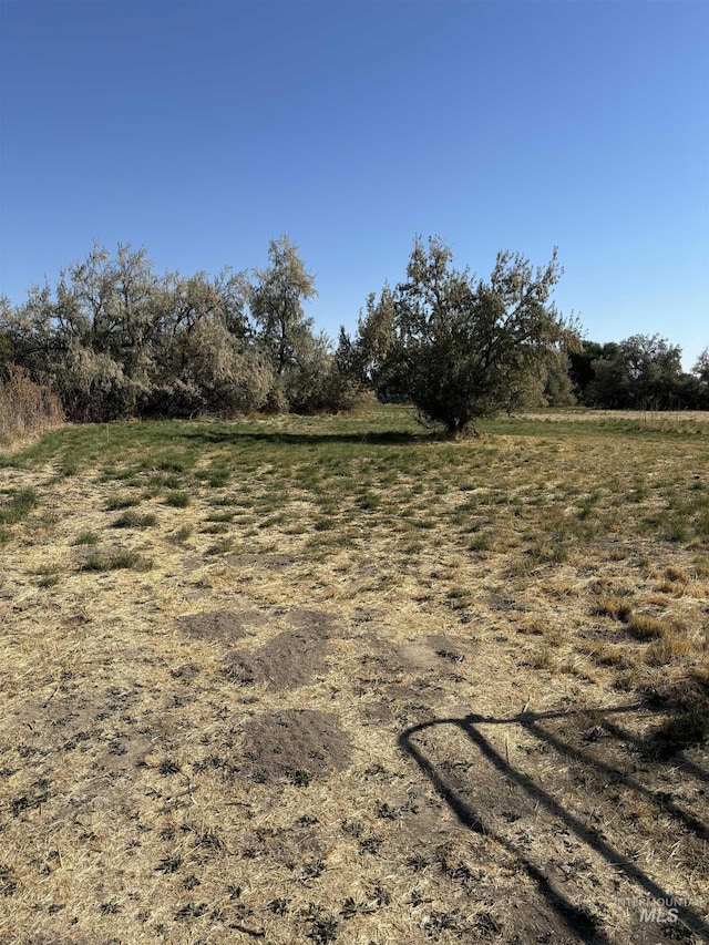 view of yard featuring a rural view