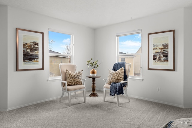 living area with carpet floors and baseboards