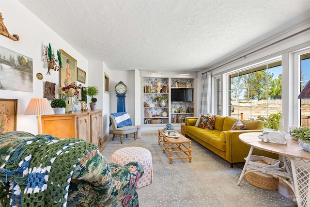 living room with a textured ceiling