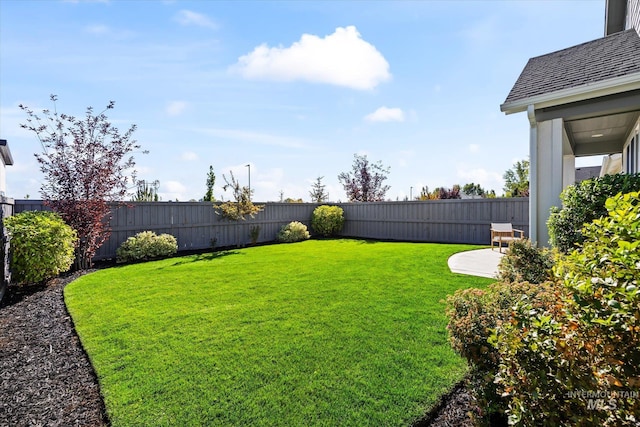 view of yard with a fenced backyard