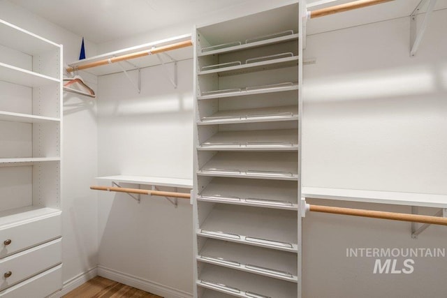 606 S Ridge Rd, Moscow, ID 83843 - spacious closet with wood finished floors